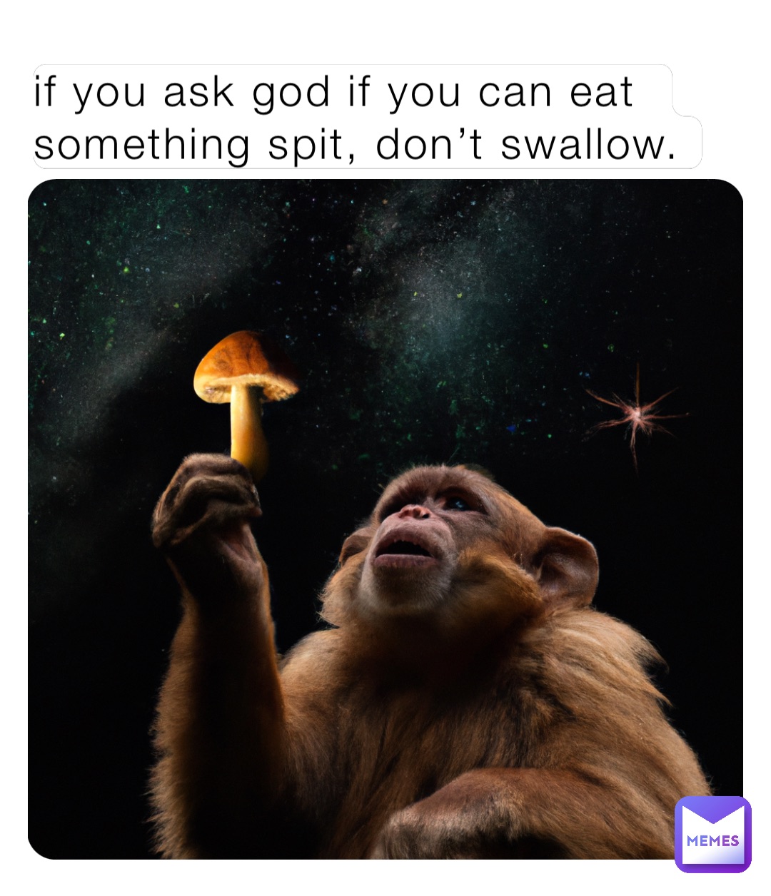 if you ask god if you can eat something spit, don’t swallow.