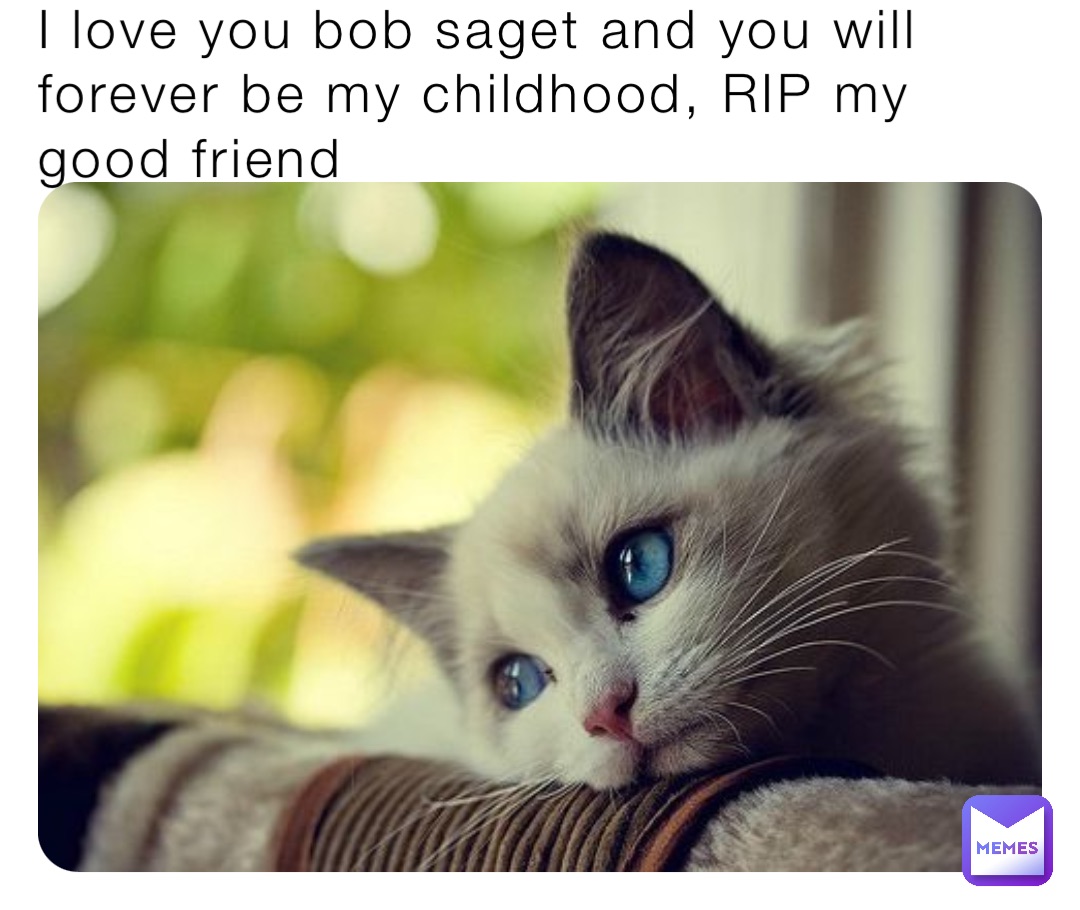 I love you bob saget and you will forever be my childhood, RIP my good friend