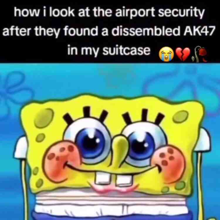 Meme shared by @dog_sniffer