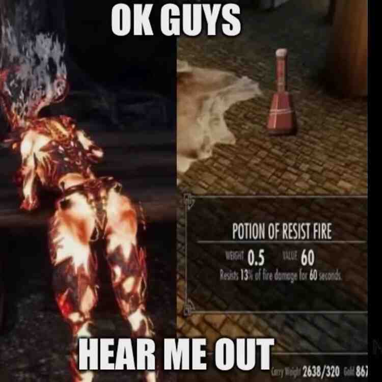 Skyrim memes