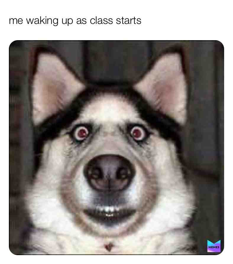Meme shared by @michelle0807