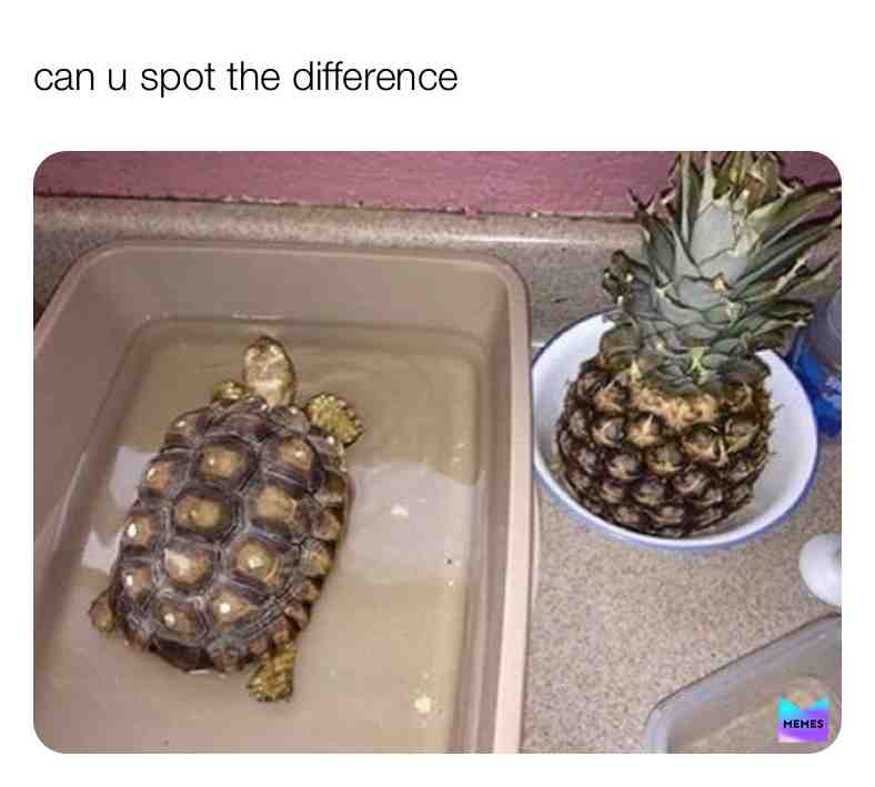 Meme shared by @michelle0807