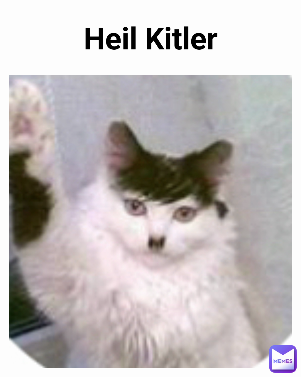 Heil Kitler