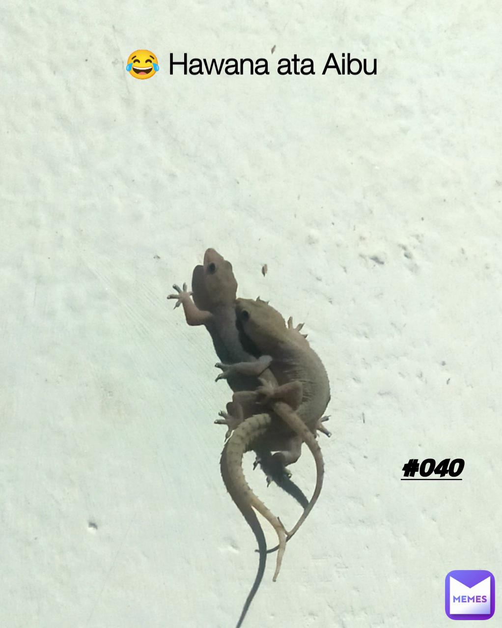 Meme by edmondjackobs