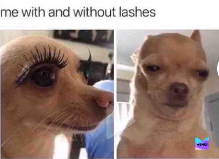 Meme shared by @ReallyStupidLol