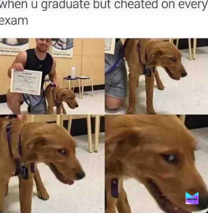 Meme shared by @ReallyStupidLol