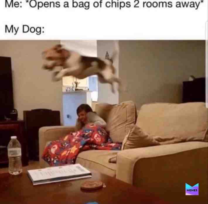 Meme shared by @ReallyStupidLol
