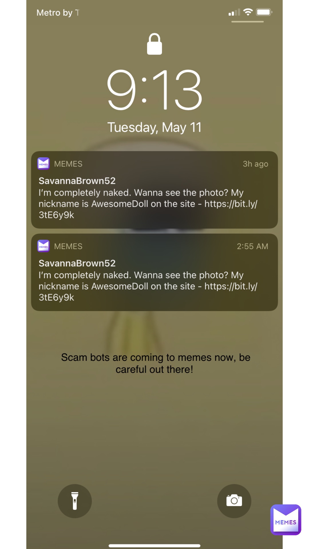 Scam bots are coming to memes now, be careful out there!