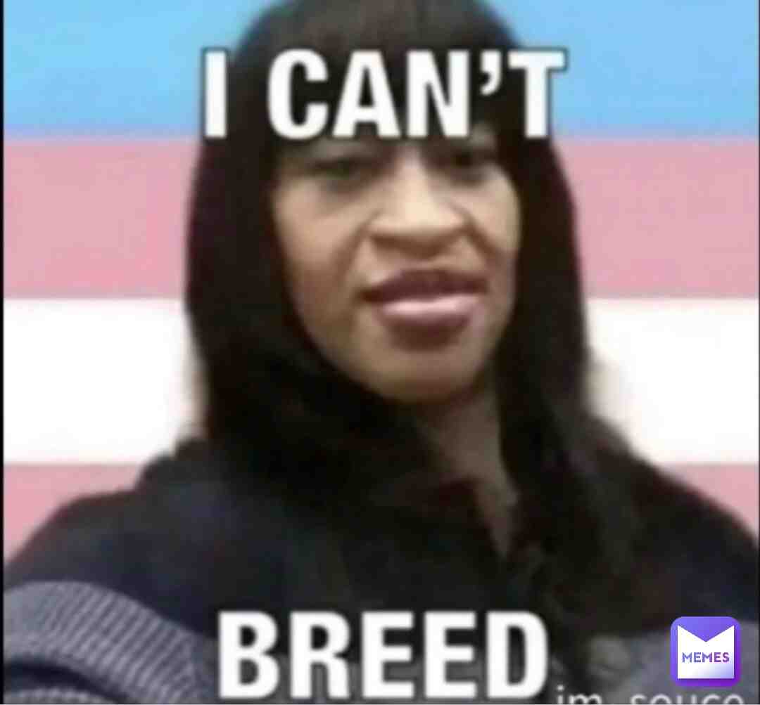 Meme preview