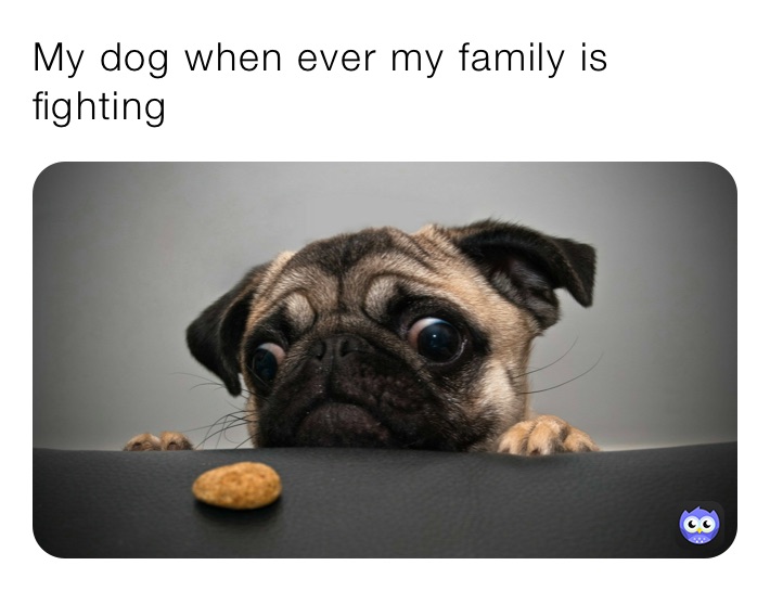 Meme by Funny_girl_1234