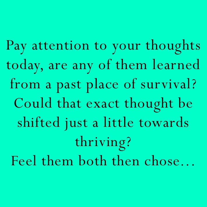 Pay attention to your thoughts today, are any of them learned from a past place of survival? Could that exact thought be shifted just a little towards thriving?
Feel them both then chose...