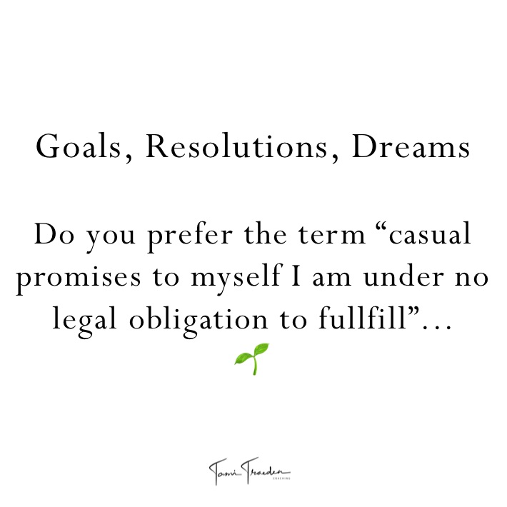 Goals, Resolutions, Dreams

Do you prefer the term “casual promises to myself I am under no legal obligation to fullfill”... 
🌱
