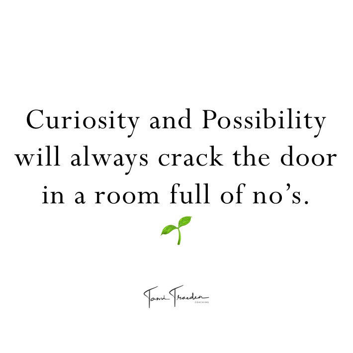 Curiosity and Possibility will always crack the door in a room full of no’s. 
🌱 