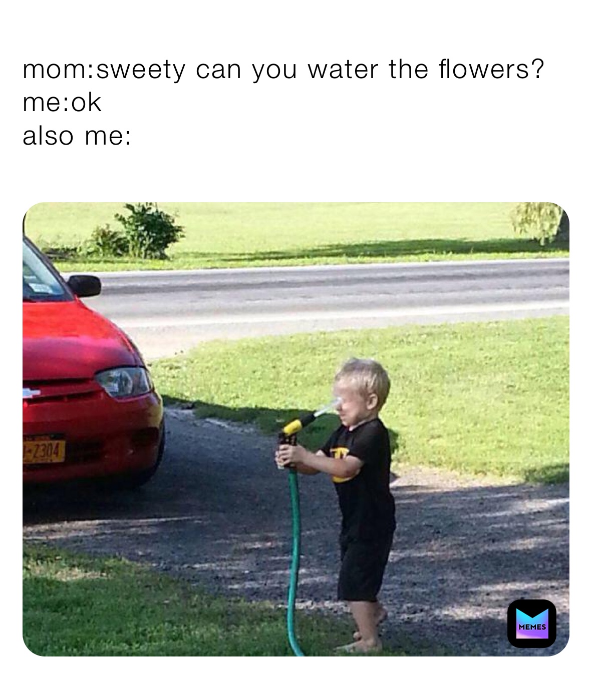mom:sweety can you water the flowers?
me:ok
also me: