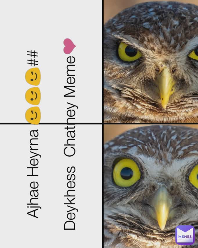 Ajhae Heyrna 😉😉😉##

Deykhess  Chatney Meme❤