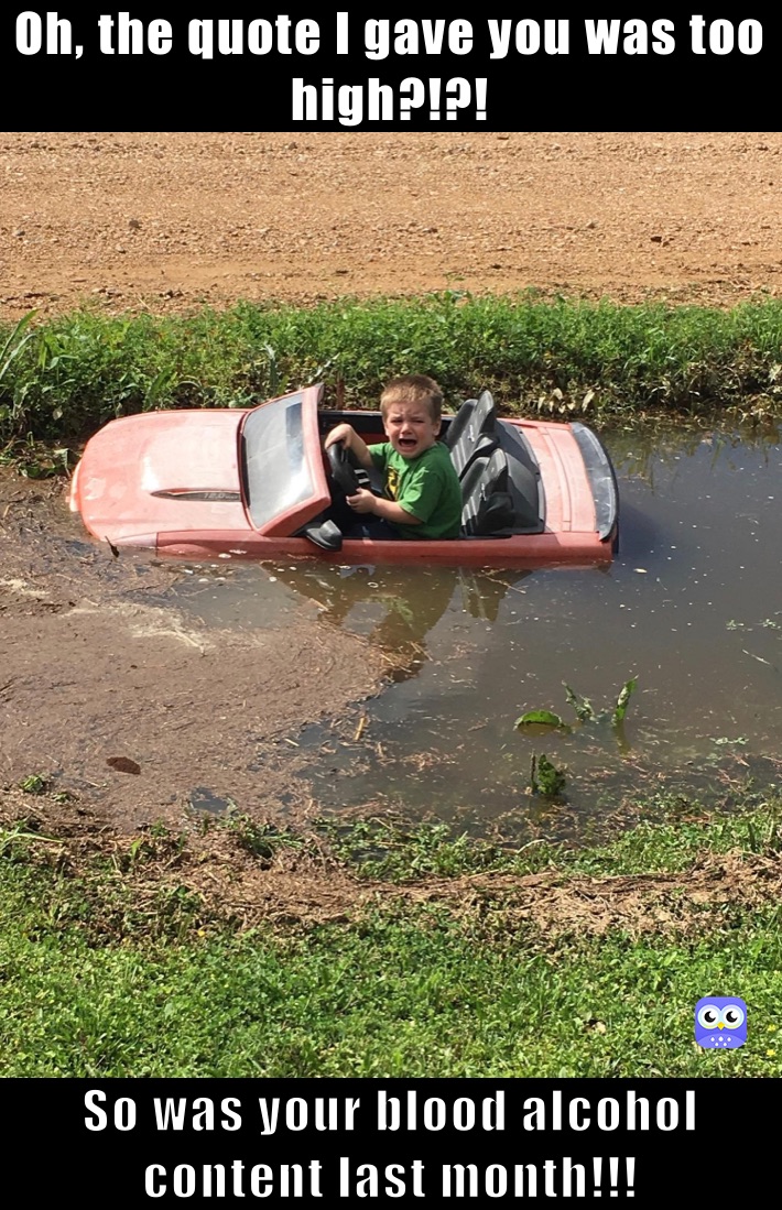 Meme by dewainlittleton