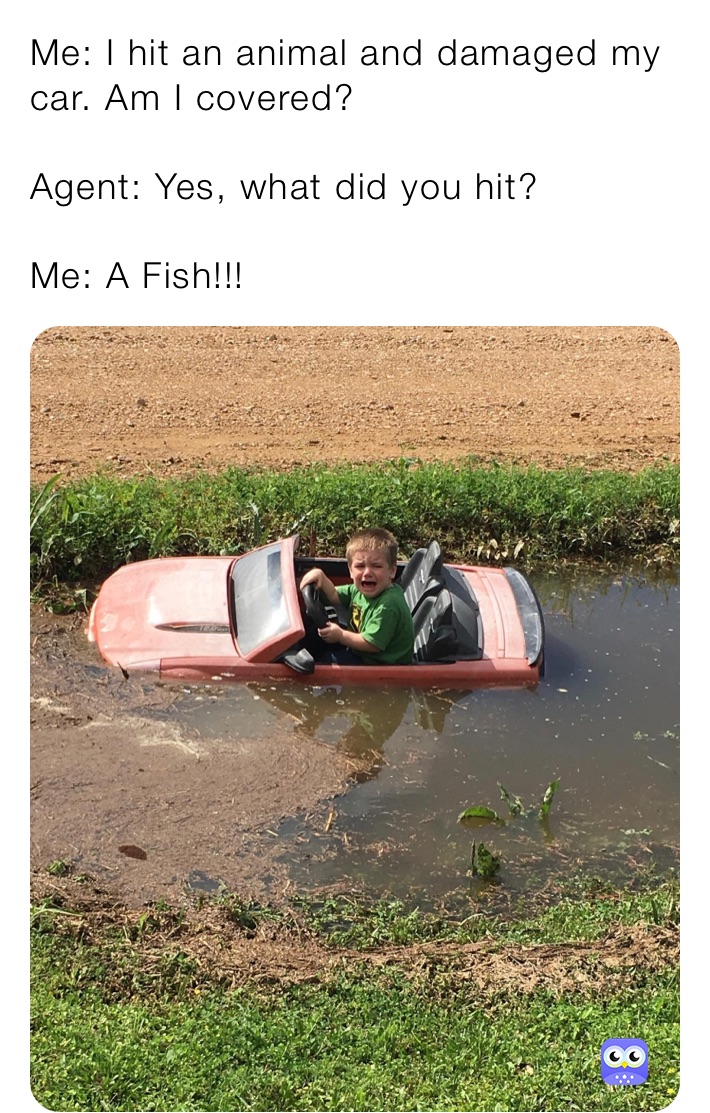 Meme by dewainlittleton