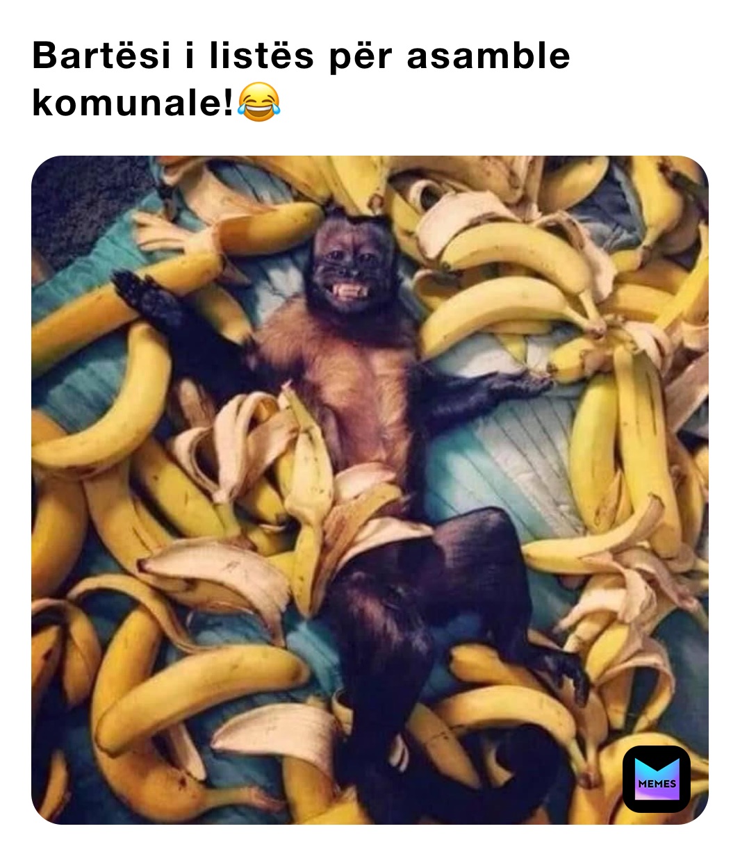 Bartësi i listës për asamble komunale!😂