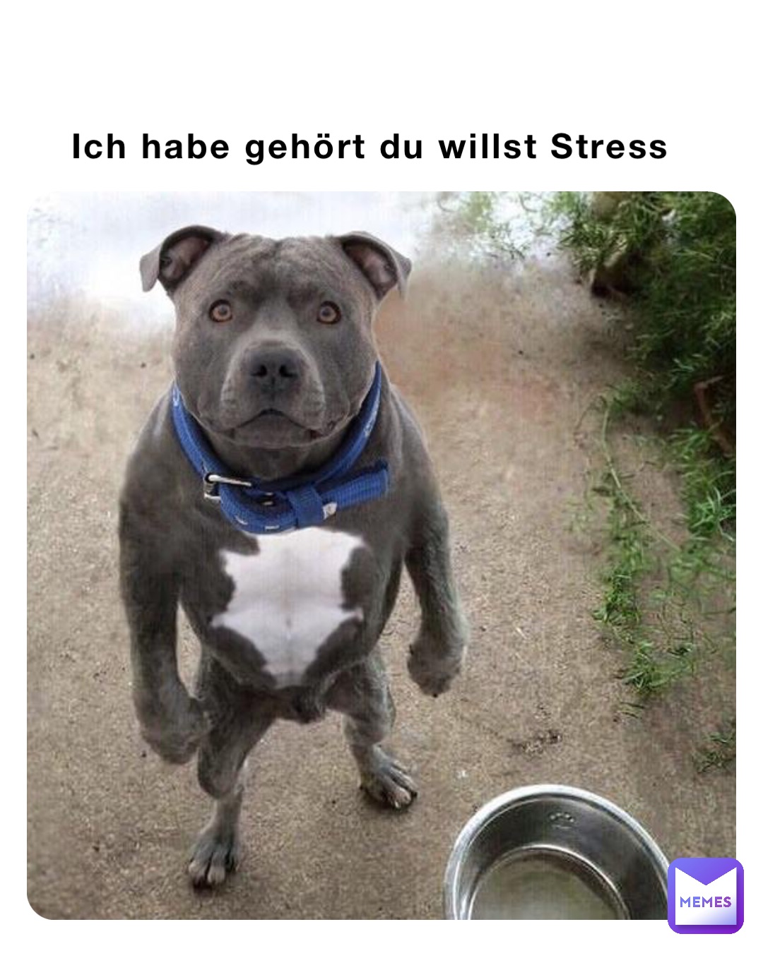 Ich habe gehört du willst Stress