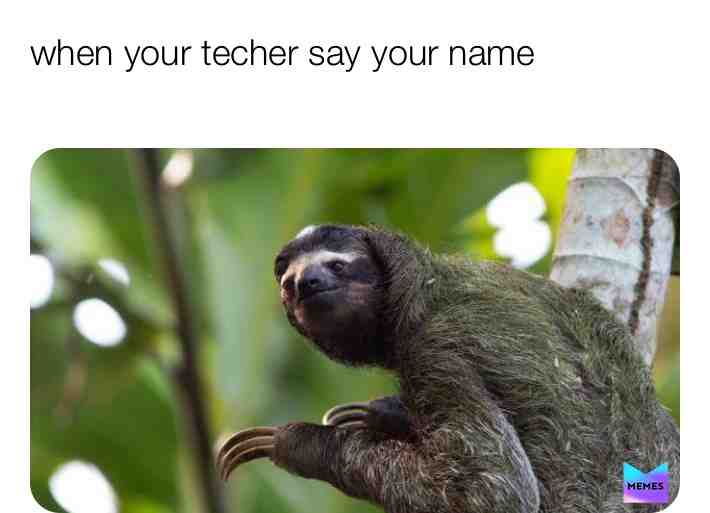 #meme #memes #bradi #school #coronavirus #covid #teacher