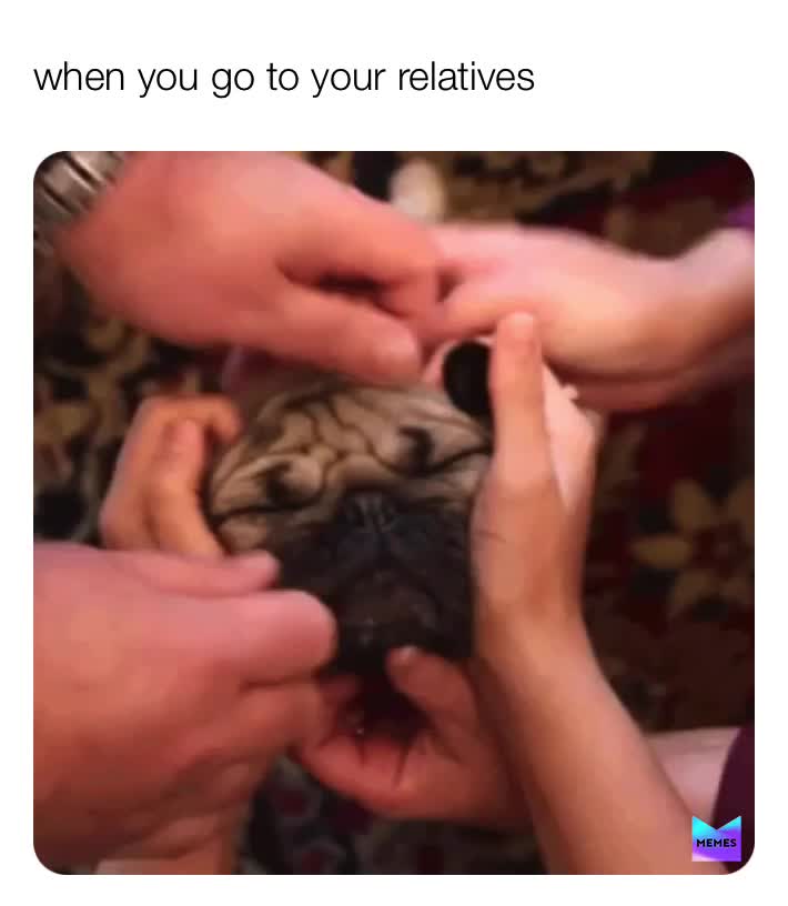 #relatives  #parents  #dog