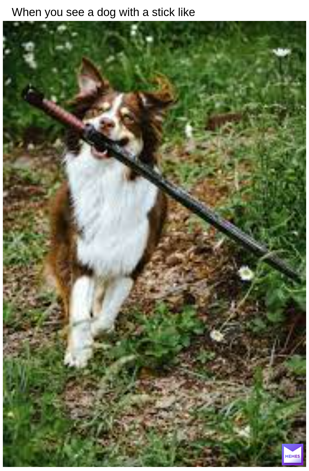 Meme by Proxima_Nova