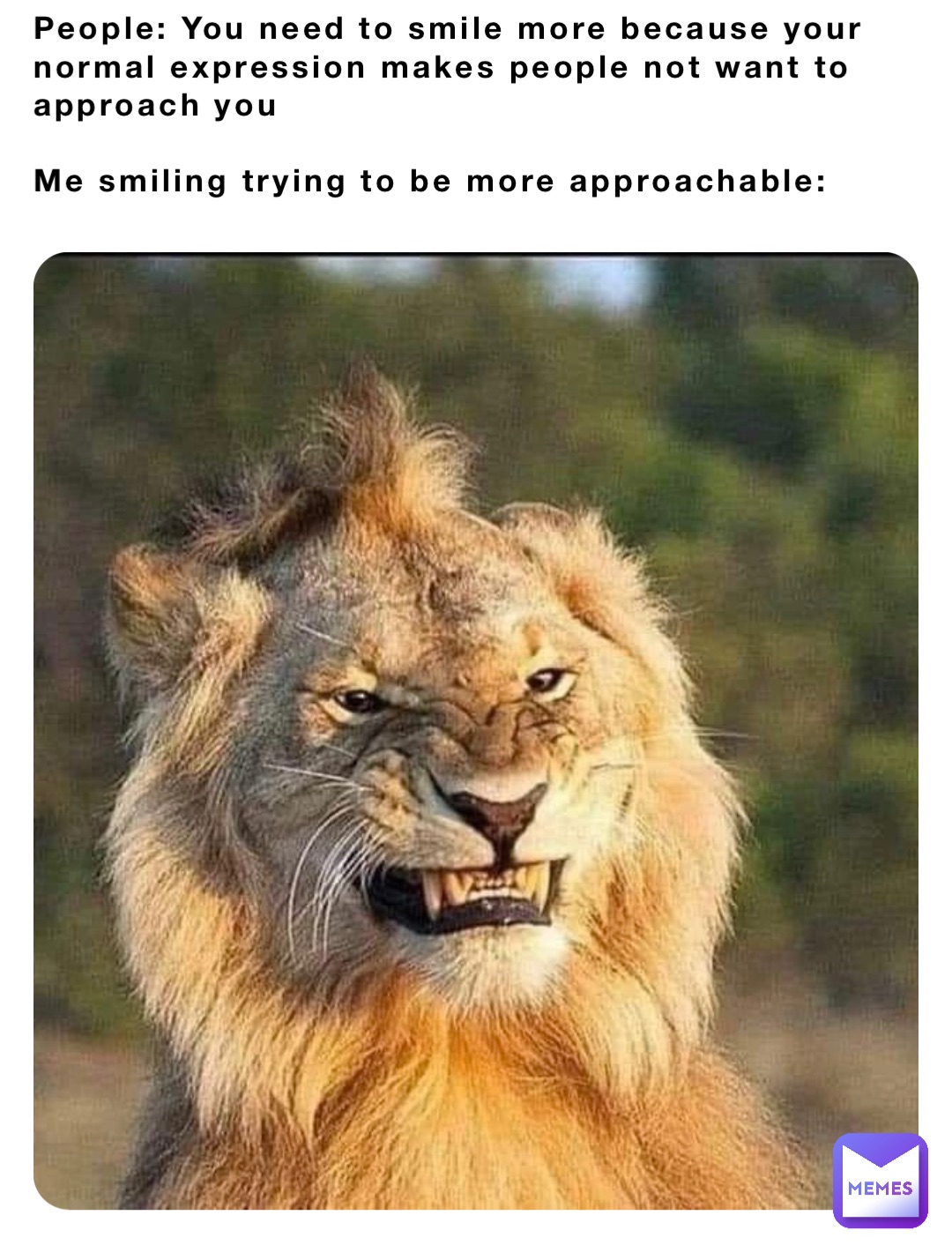 People: You need to smile more because your normal expression makes people not want to approach you

Me smiling trying to be more approachable: