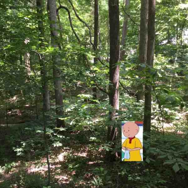RealCaillouSpotting  #inTheWild