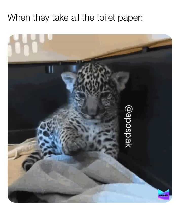 Bro stop