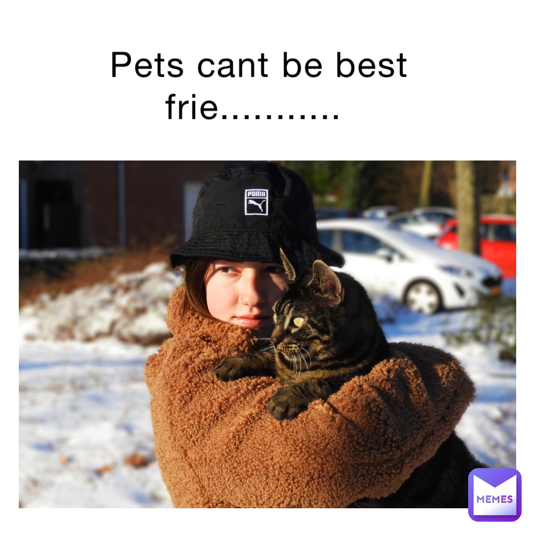 Pets cant be best frie...........