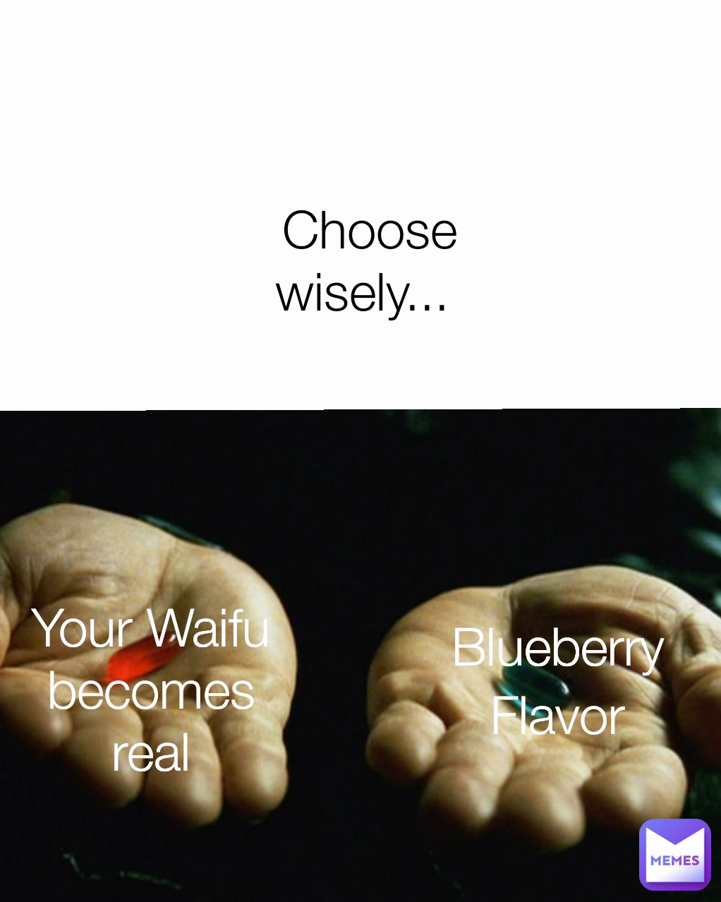 Blueberry Flavor Choose wisely...  Your Waifu becomes real