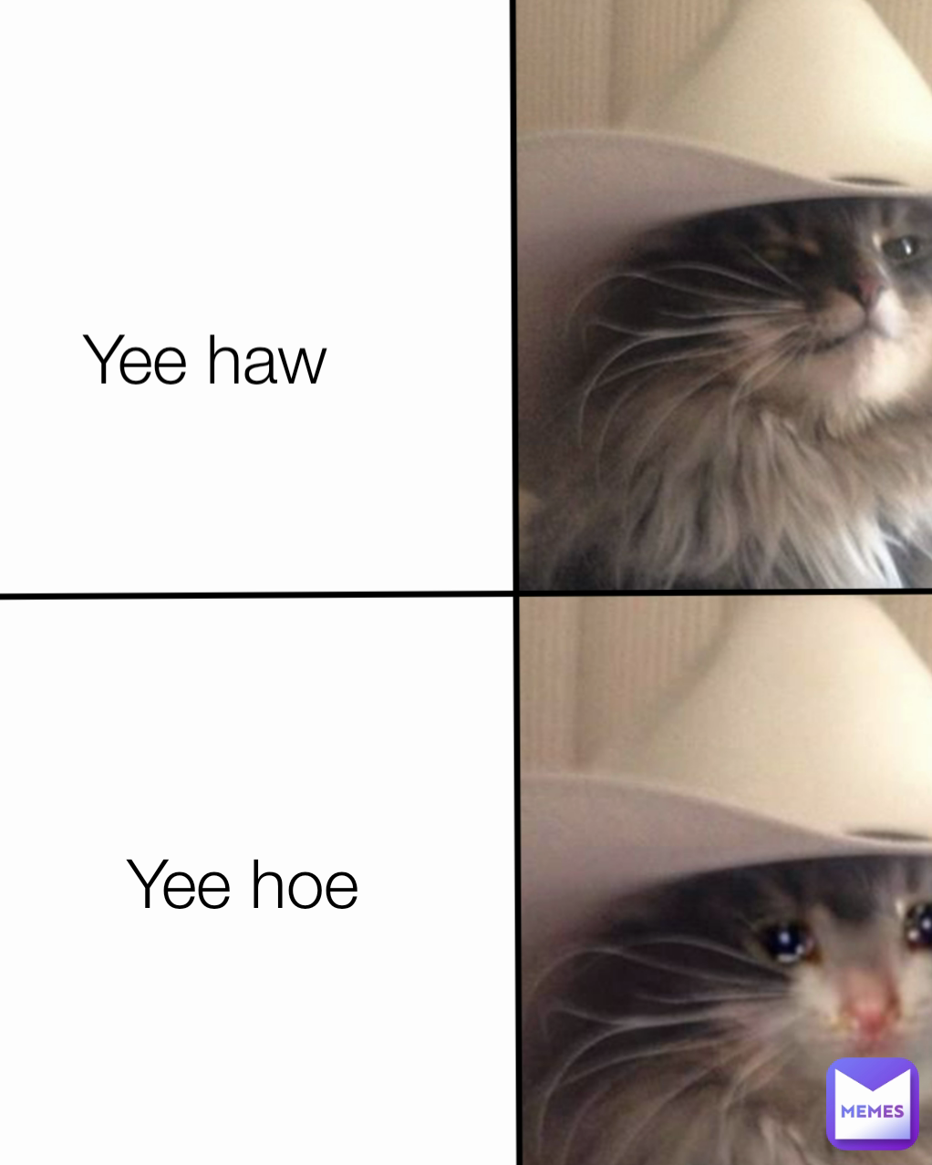 Yee haw Yee hoe