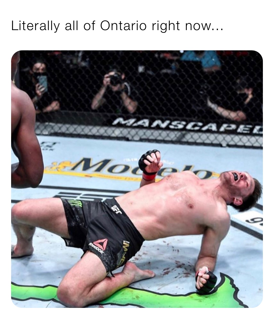 Meme by cliffskelliter