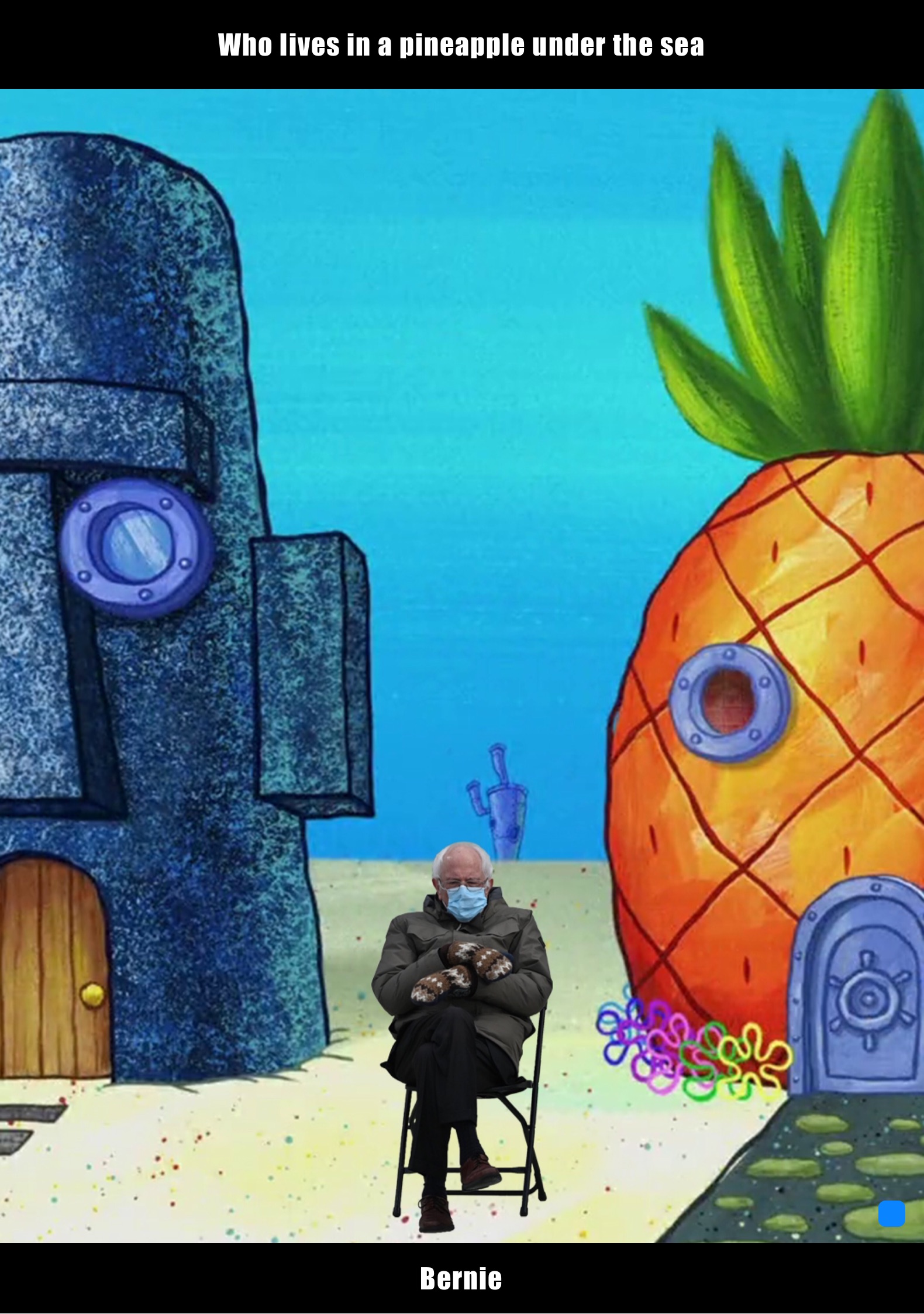 Who lives in a pineapple under the sea Bernie
