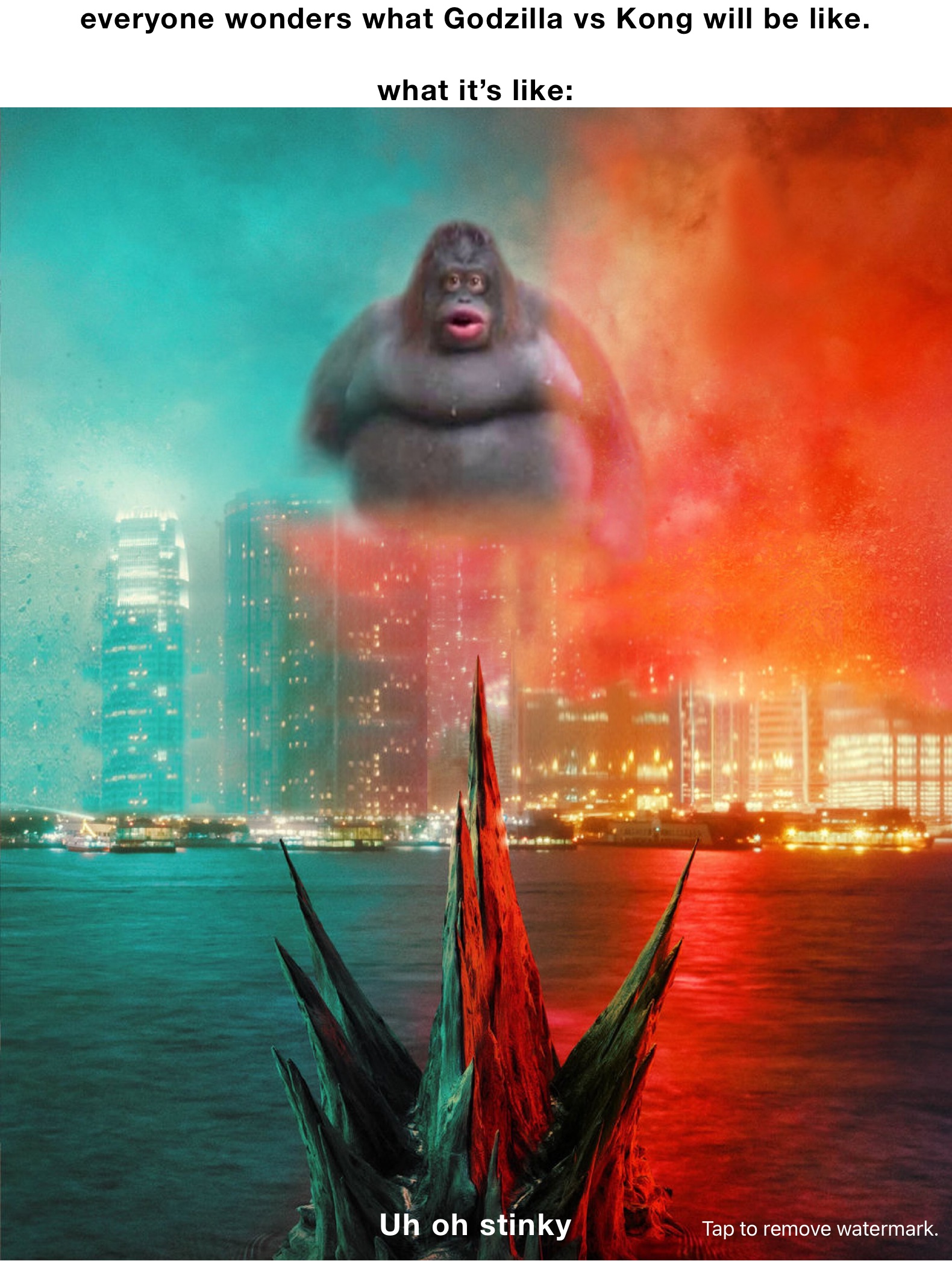 everyone wonders what Godzilla vs Kong will be like.

what it’s like: Uh oh stinky