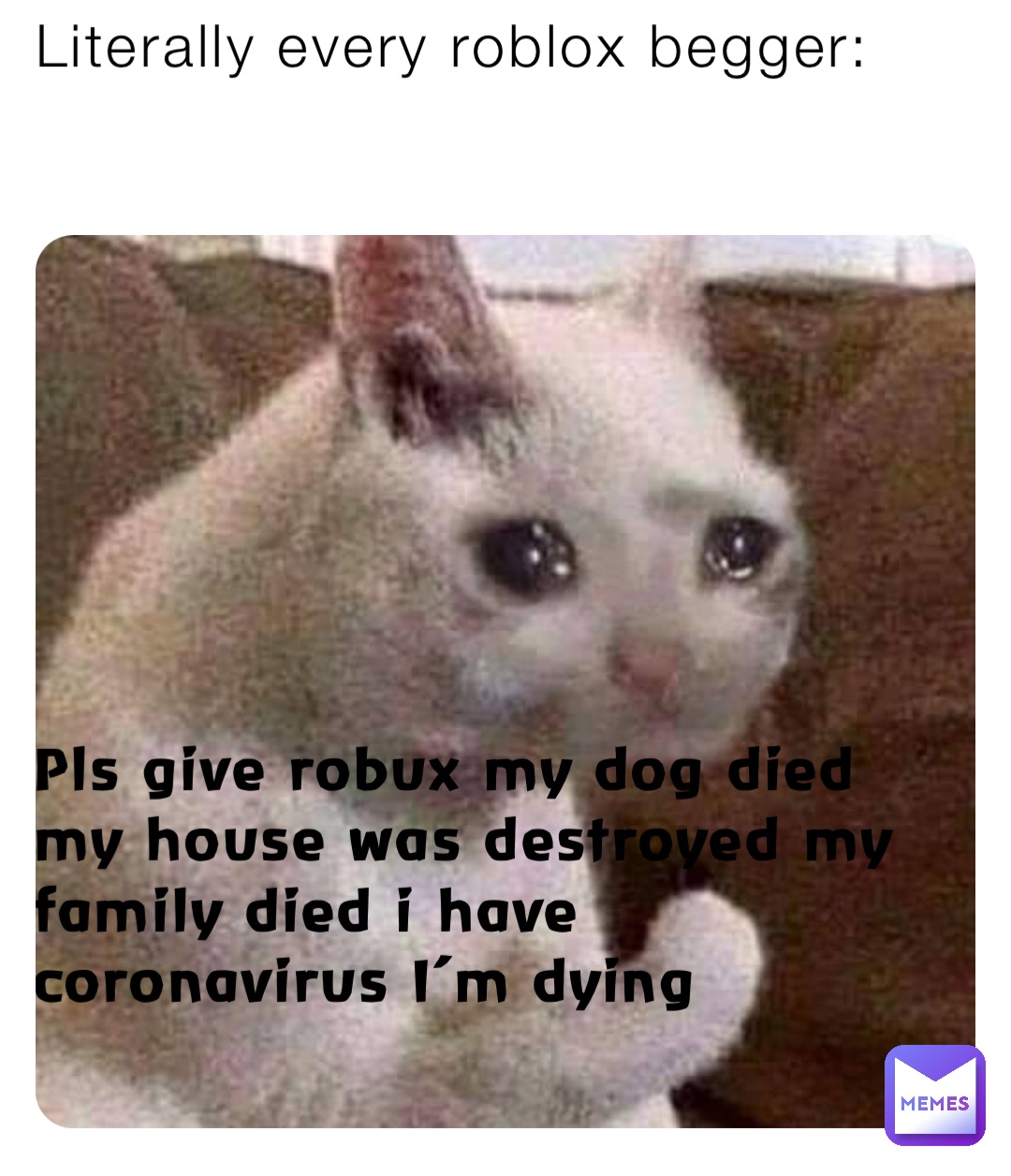 Literally every roblox begger: Pls give robux my dog died my house was destroyed my family died i have coronavirus I’m dying