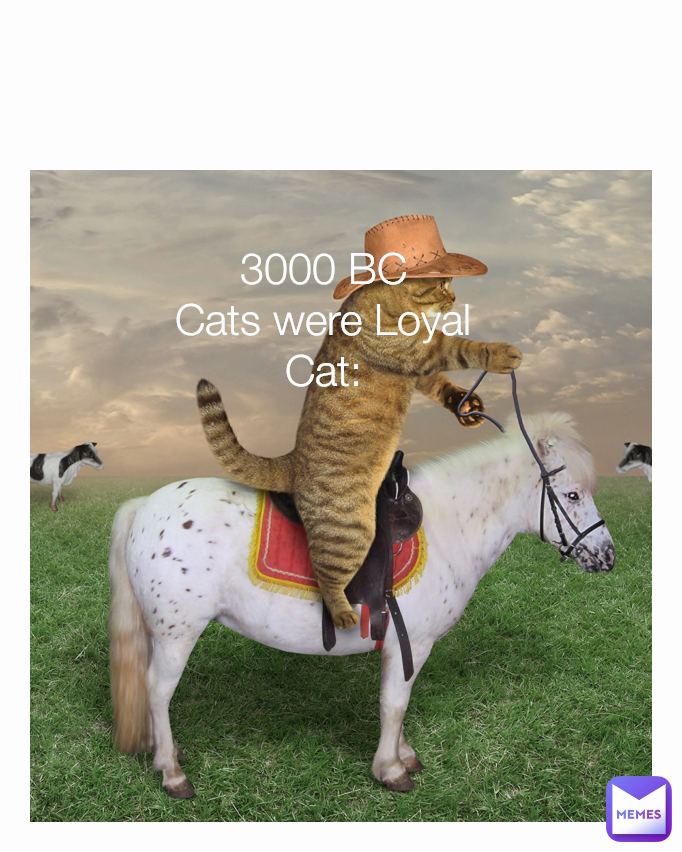 3000 BC
Cats were Loyal
Cat: