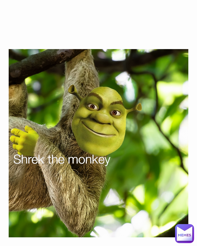 Shrek the monkey 