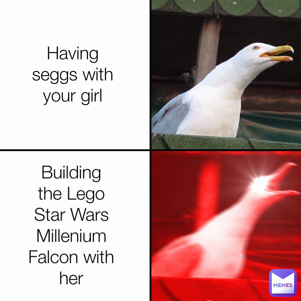 Building the Lego Star Wars Millenium Falcon with her Having seggs with your girl