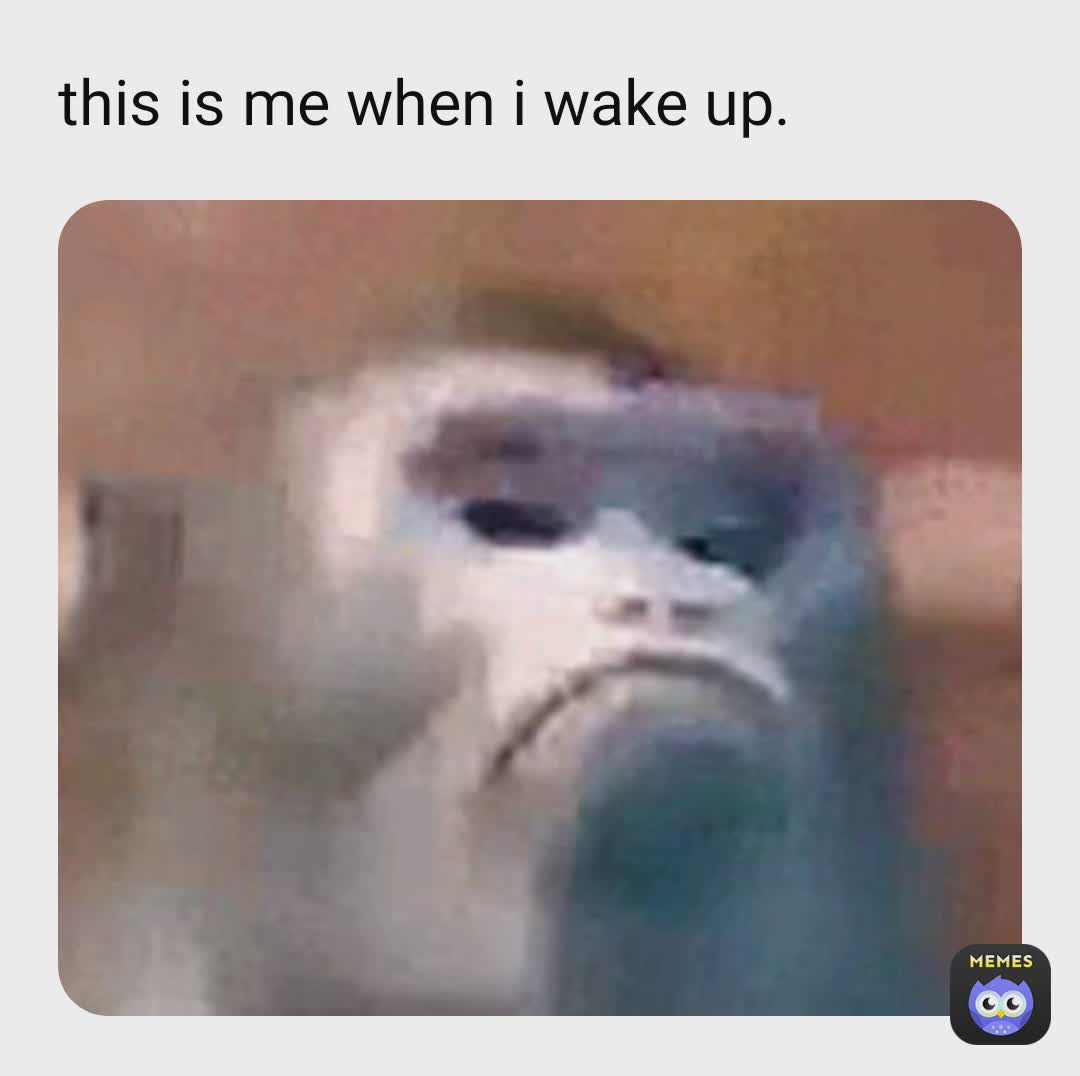 Meme by fareeha.memez