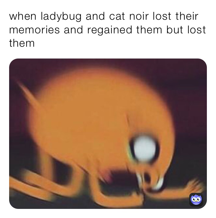 when ladybug and cat noir lost their memories and regained them but lost them