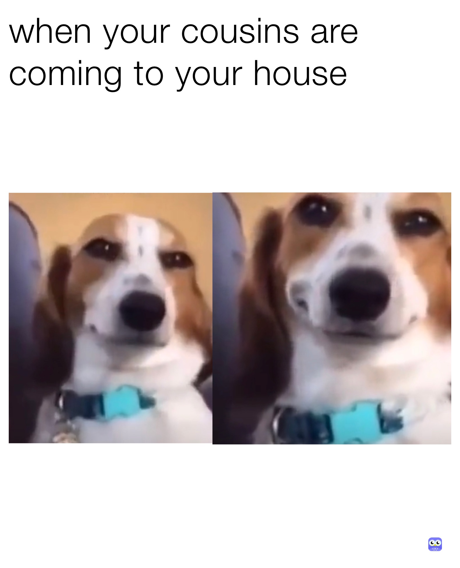 when your cousins are coming to your house