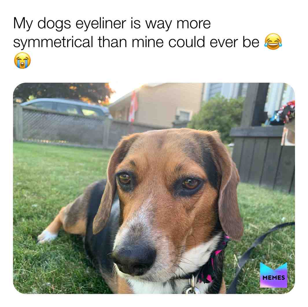 James Charles who? I only know this beagle..