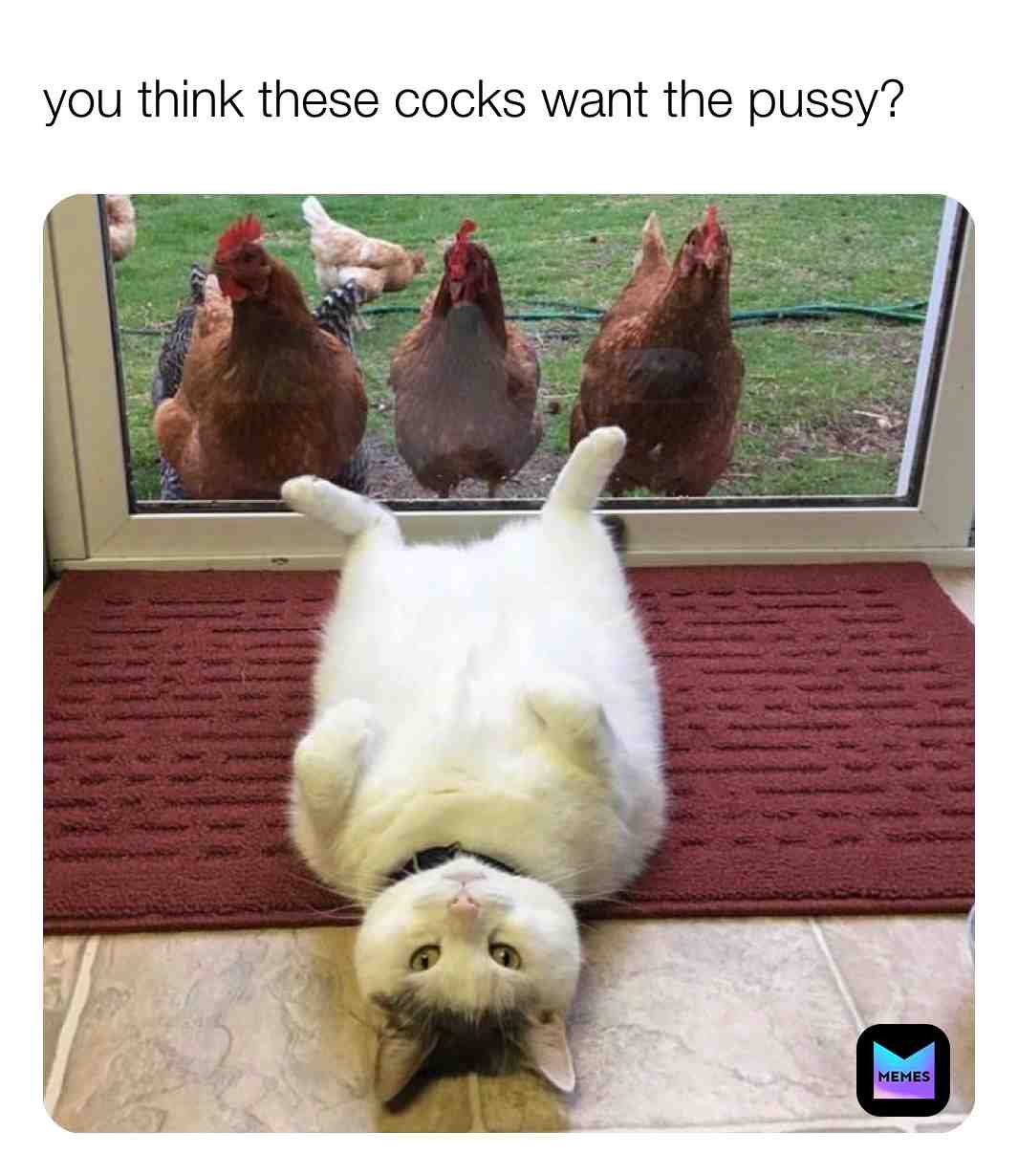 6 year olds, don’t come at me for making an inappropriate meme 😒