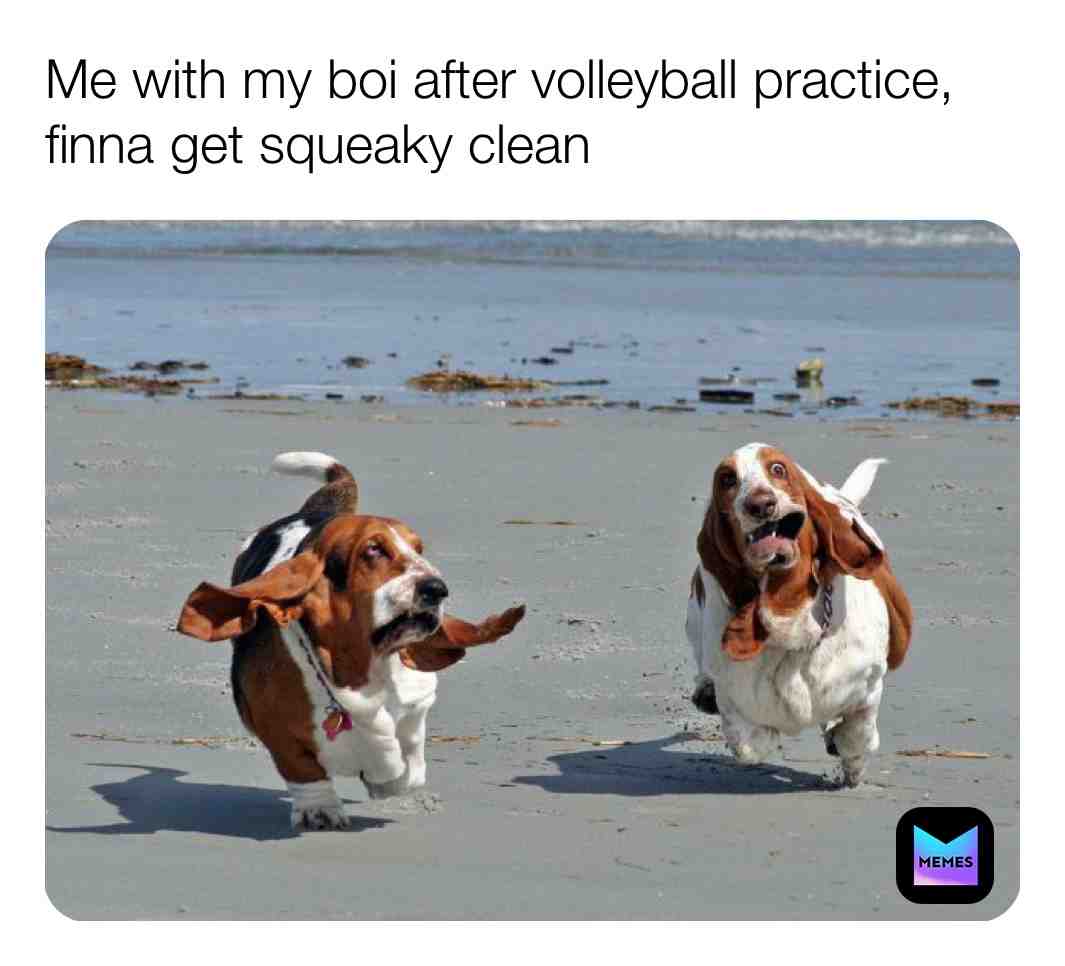 Meme shared by @Noochiis_Mochi