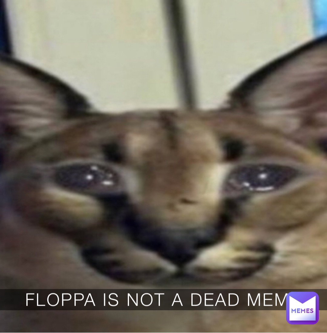 FLOPPA IS NOT A DEAD MEME