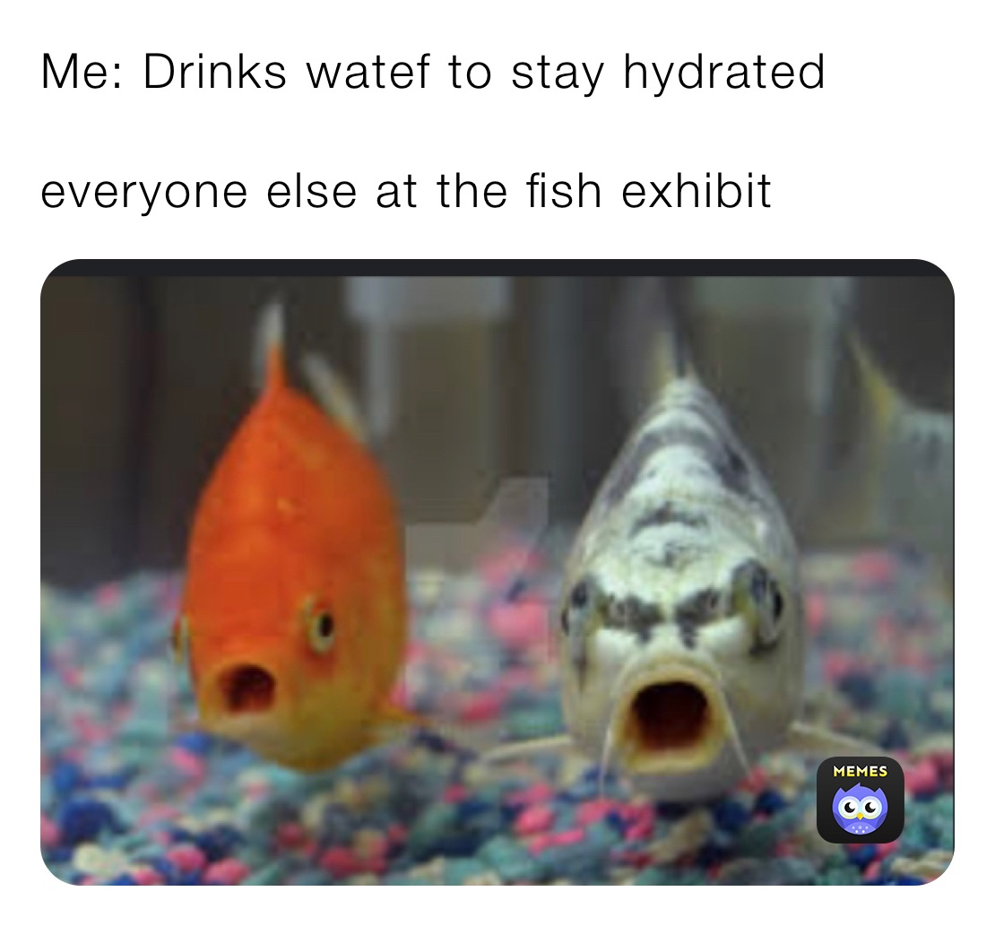 Me: Drinks watef to stay hydrated

everyone else at the fish exhibit 