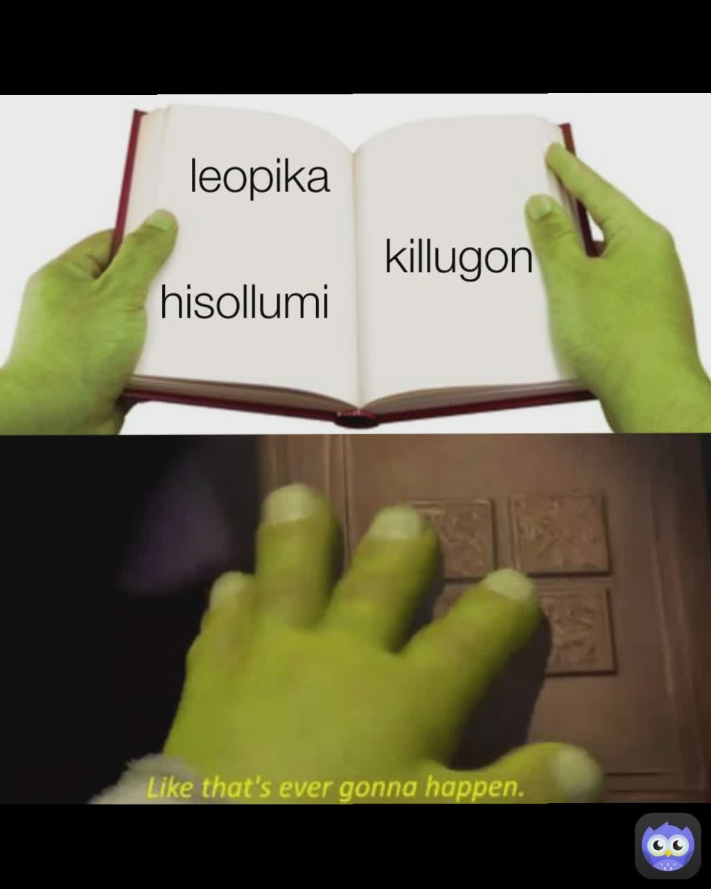 killugon hisollumi leopika 