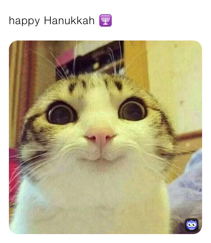 happy Hanukkah 🕎 