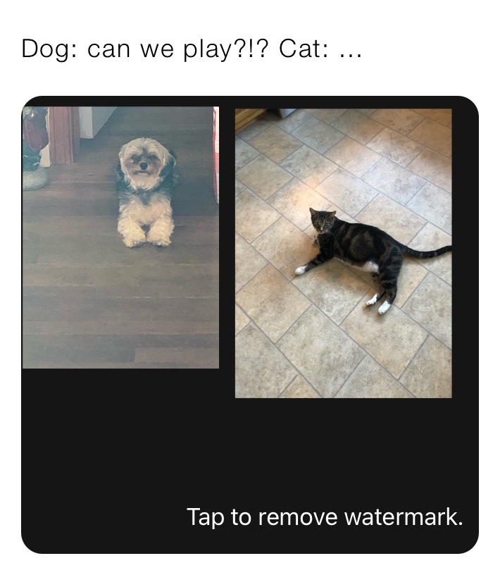 Meme by im_trash_at_this